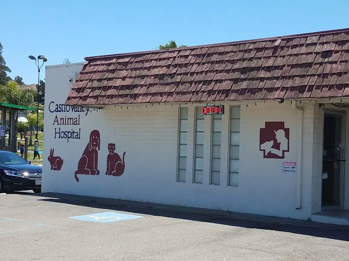 Castro Valley Animal Hospital Picture 4