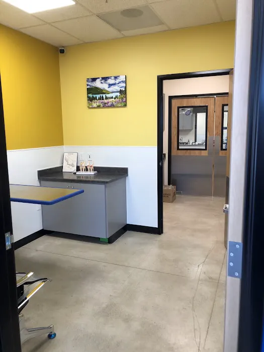 Castro Valley Animal Hospital Picture 1