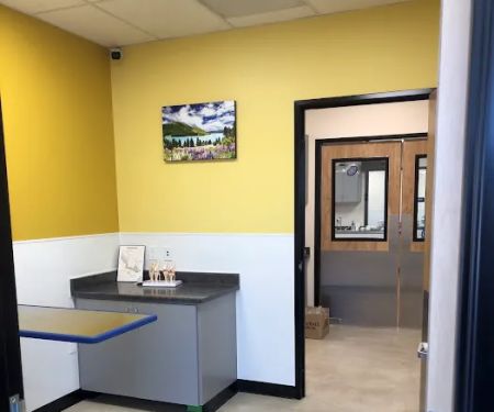 Castro Valley Animal Hospital