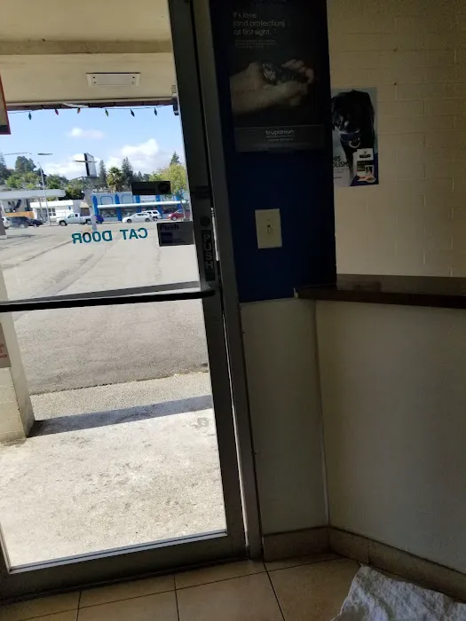 Castro Valley Animal Hospital Picture 6