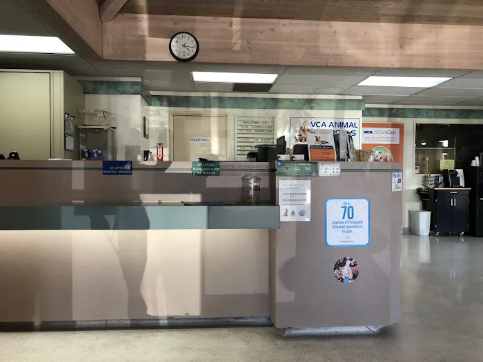 VCA Lewelling Animal Hospital Picture 6