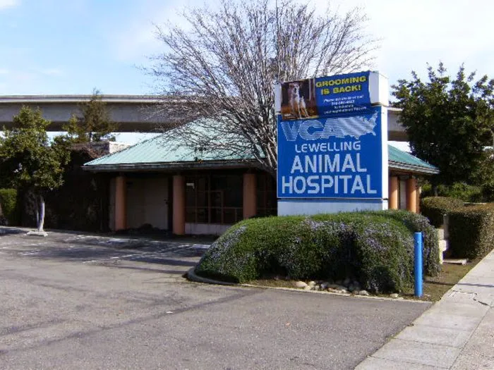 VCA Lewelling Animal Hospital Picture 1