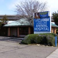 VCA Lewelling Animal Hospital ico