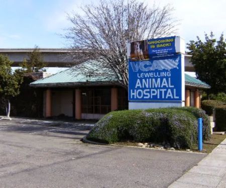 VCA Lewelling Animal Hospital