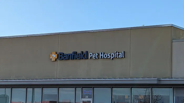 Banfield Pet Hospital Picture 2