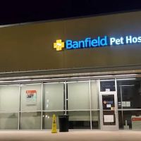 Banfield Pet Hospital ico