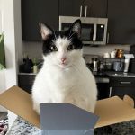 Banfield Pet Hospital
