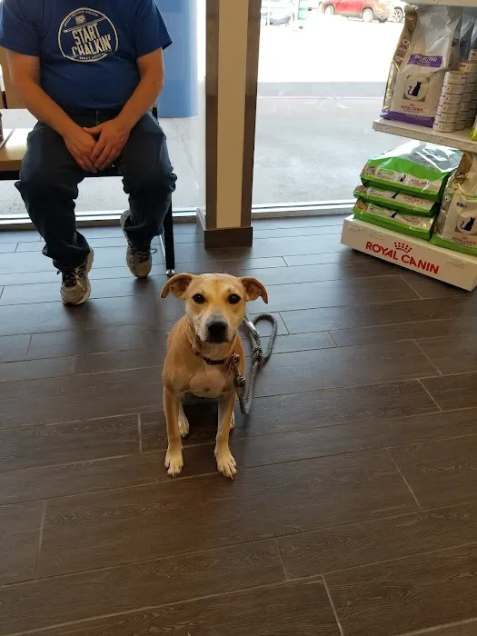 Banfield Pet Hospital Picture 4