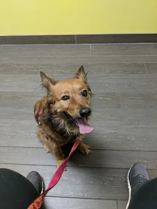 Banfield Pet Hospital Picture 5