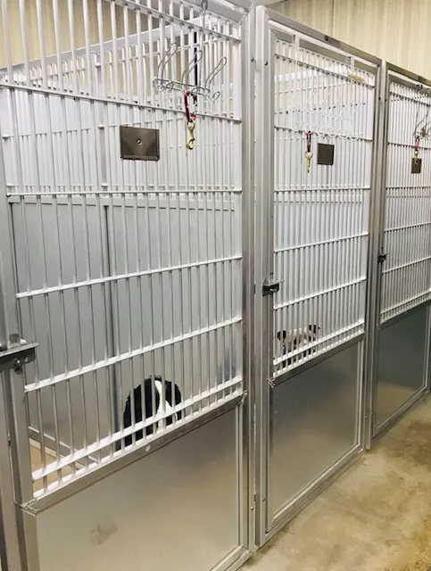Highway 79 Animal Clinic Picture 5