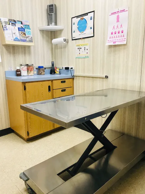 Highway 79 Animal Clinic Picture 4
