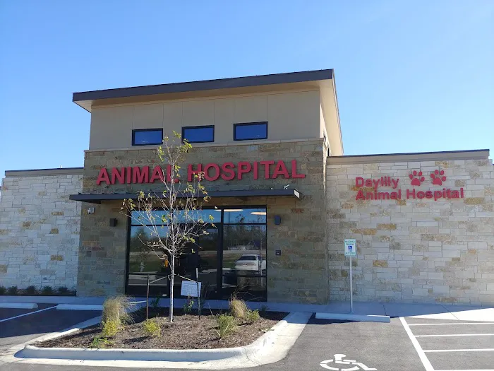 Daylily Animal Hospital Picture 2