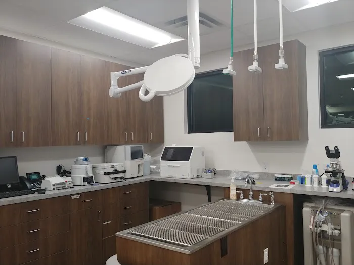 Daylily Animal Hospital Picture 4