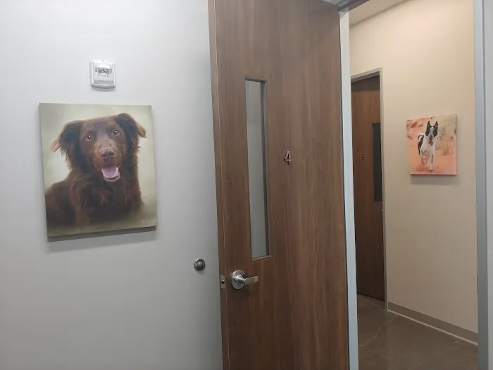 Daylily Animal Hospital Picture 8