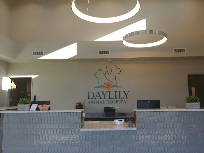 Daylily Animal Hospital Picture 9