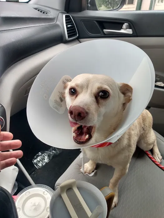 FM 685 Animal Hospital Picture 4