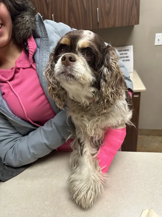 FM 685 Animal Hospital Picture 7