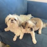 FM 685 Animal Hospital