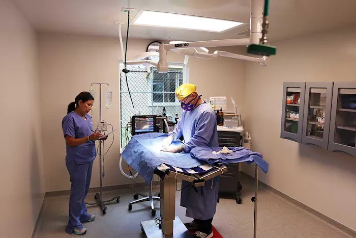 Mercy Veterinary Hospital Picture 10