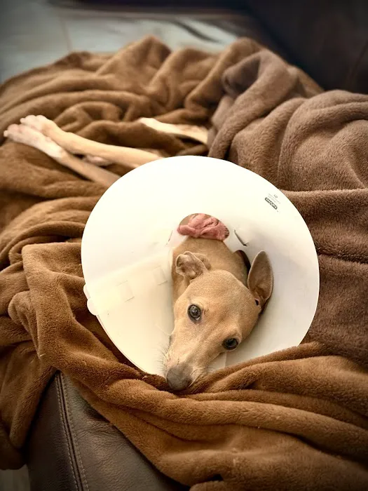 Mercy Veterinary Hospital Picture 2
