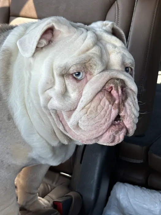 Liberty Hill Animal Hospital Picture 9