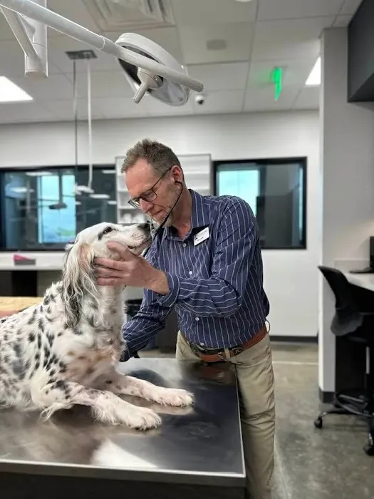 Liberty Hill Animal Hospital Picture 1
