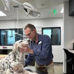 Liberty Hill Animal Hospital