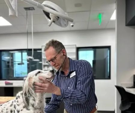 Liberty Hill Animal Hospital