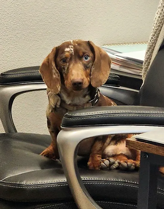 Burnet Veterinary Clinic Inc Picture 3