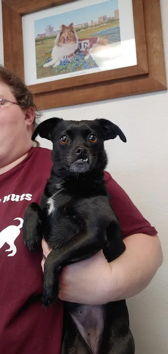 Packsaddle Veterinary Clinic Picture 3