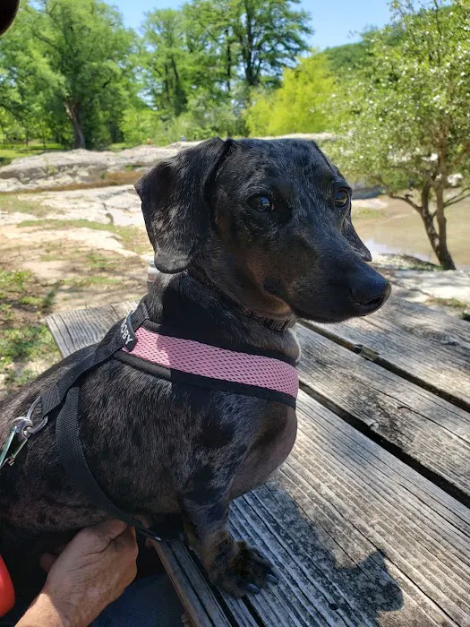 Lake Area Animal Clinic Picture 7