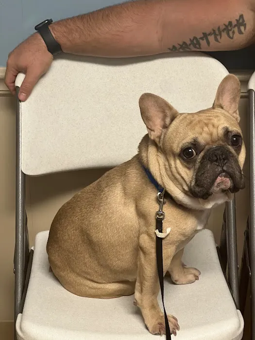 Lake Area Animal Clinic Picture 4