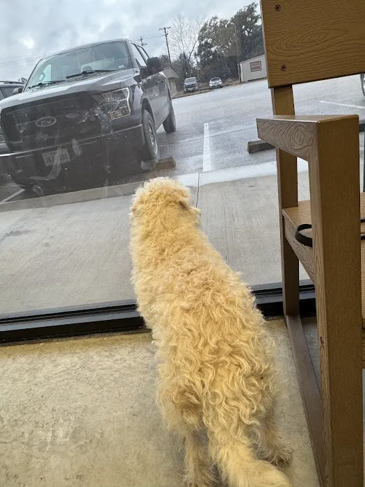 Johnson City Veterinary Clinic Picture 5