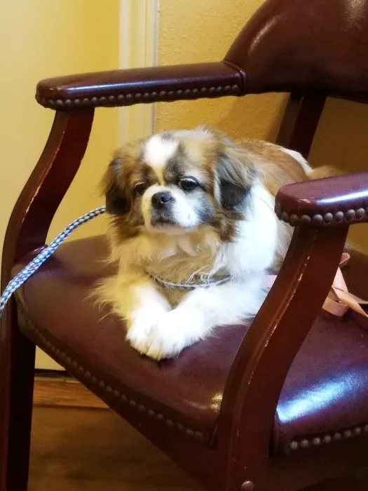 Bluebonnet Veterinary Clinic Picture 8
