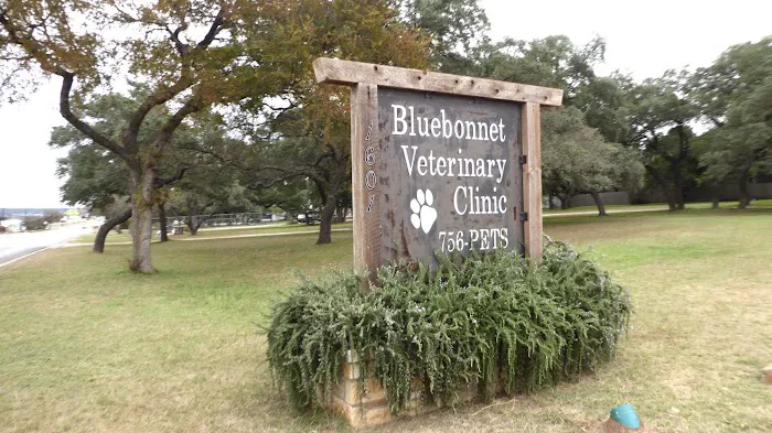 Bluebonnet Veterinary Clinic Picture 1