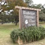 Bluebonnet Veterinary Clinic