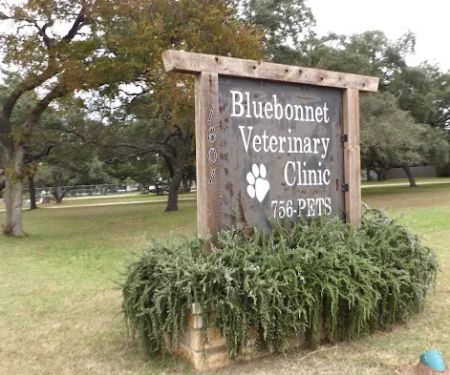 Bluebonnet Veterinary Clinic
