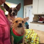 Animal Care Clinic