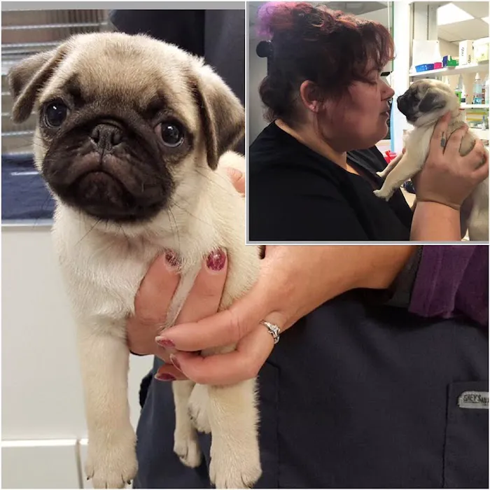 Animal Care Clinic Picture 3