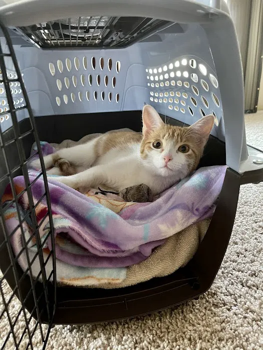 Animal Care Clinic Picture 9