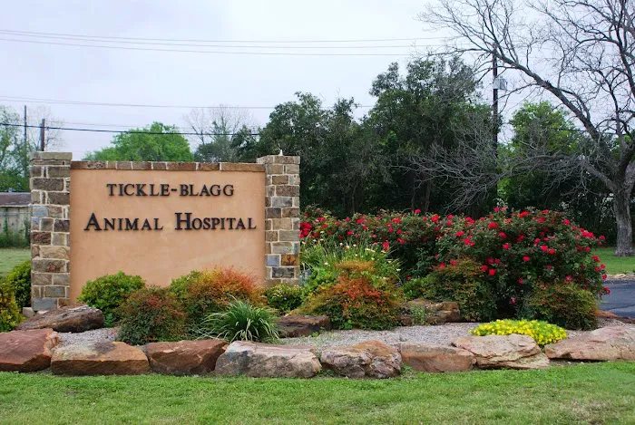 Tickle-Blagg Animal Hospital Picture 5
