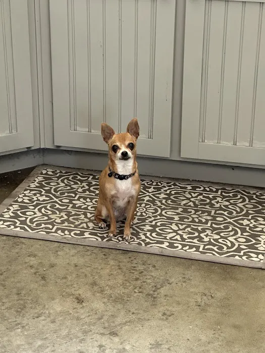 Tickle-Blagg Animal Hospital Picture 3
