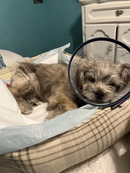 Tickle-Blagg Animal Hospital Picture 7
