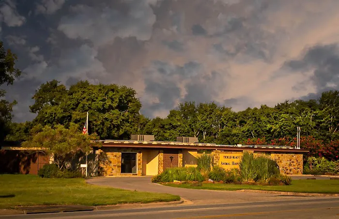 Tickle-Blagg Animal Hospital Picture 6