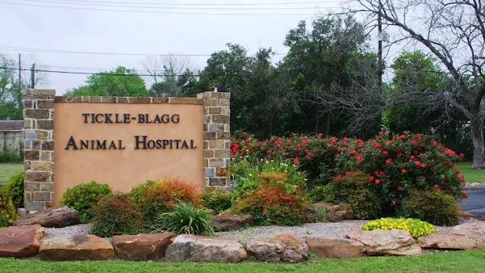 Tickle-Blagg Animal Hospital Picture 1