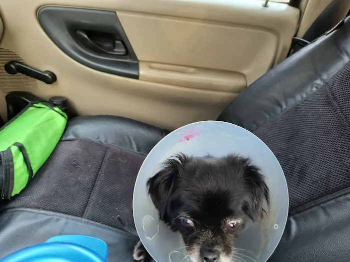 San Marcos Veterinary Clinic Picture 2