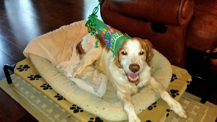 Banfield Pet Hospital Picture 7