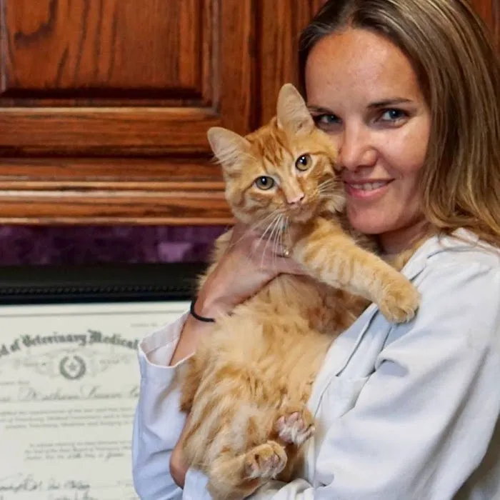 Lakeside Paws Veterinary Clinic Picture 9