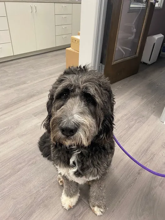 TruVet Pet Hospital Picture 8