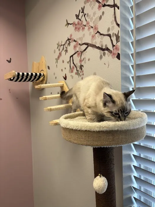TruVet Pet Hospital Picture 9